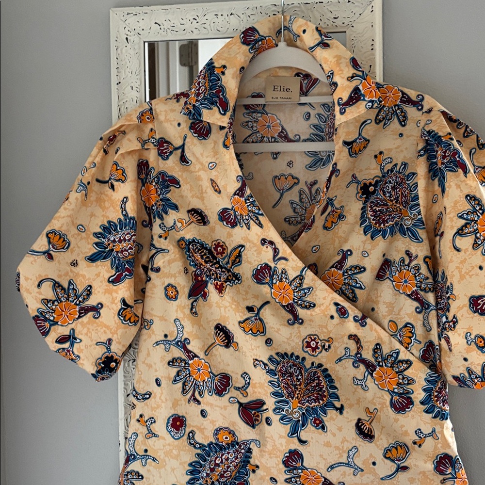 Beautiful Ellie Tahari pull over blouse with darling puffed sleeves - Picture 2 of 8